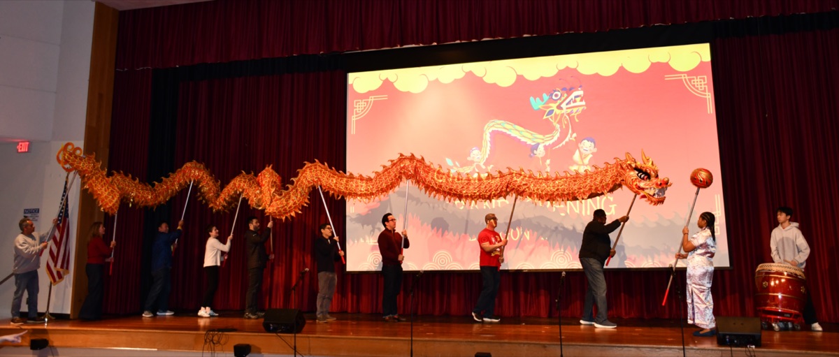 YHIS dragon