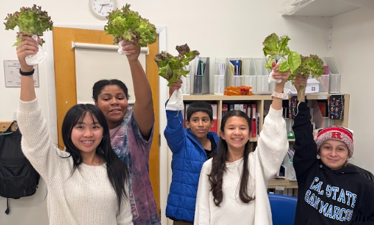 Hydroponic initiative