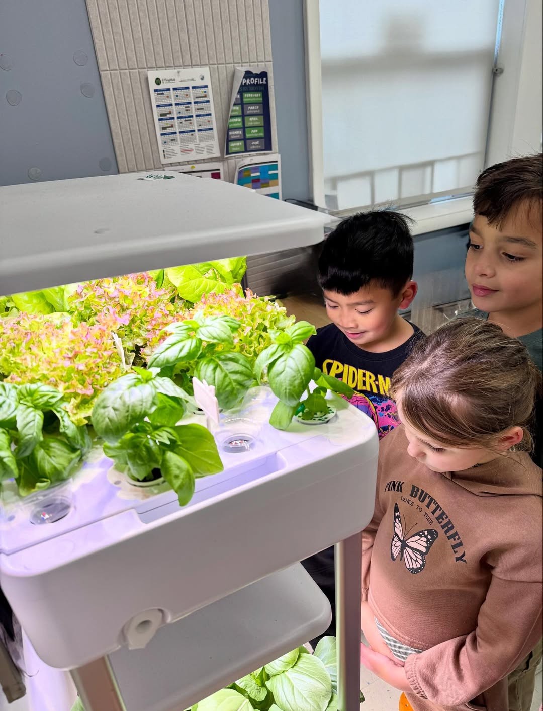 Students with hydroponic equipment