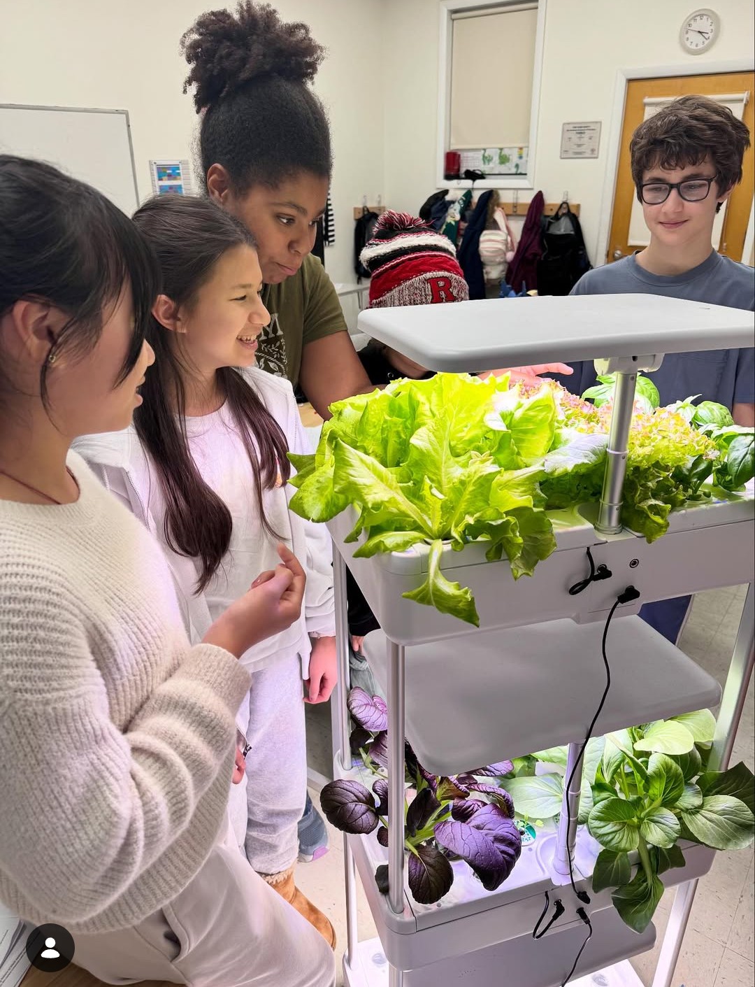 Sustainability in action